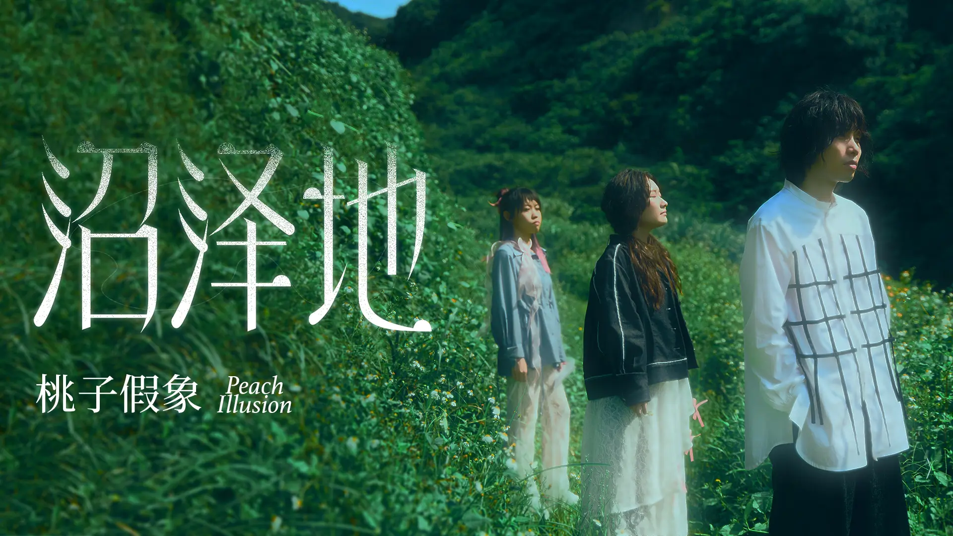 沼泽地 -桃子假象